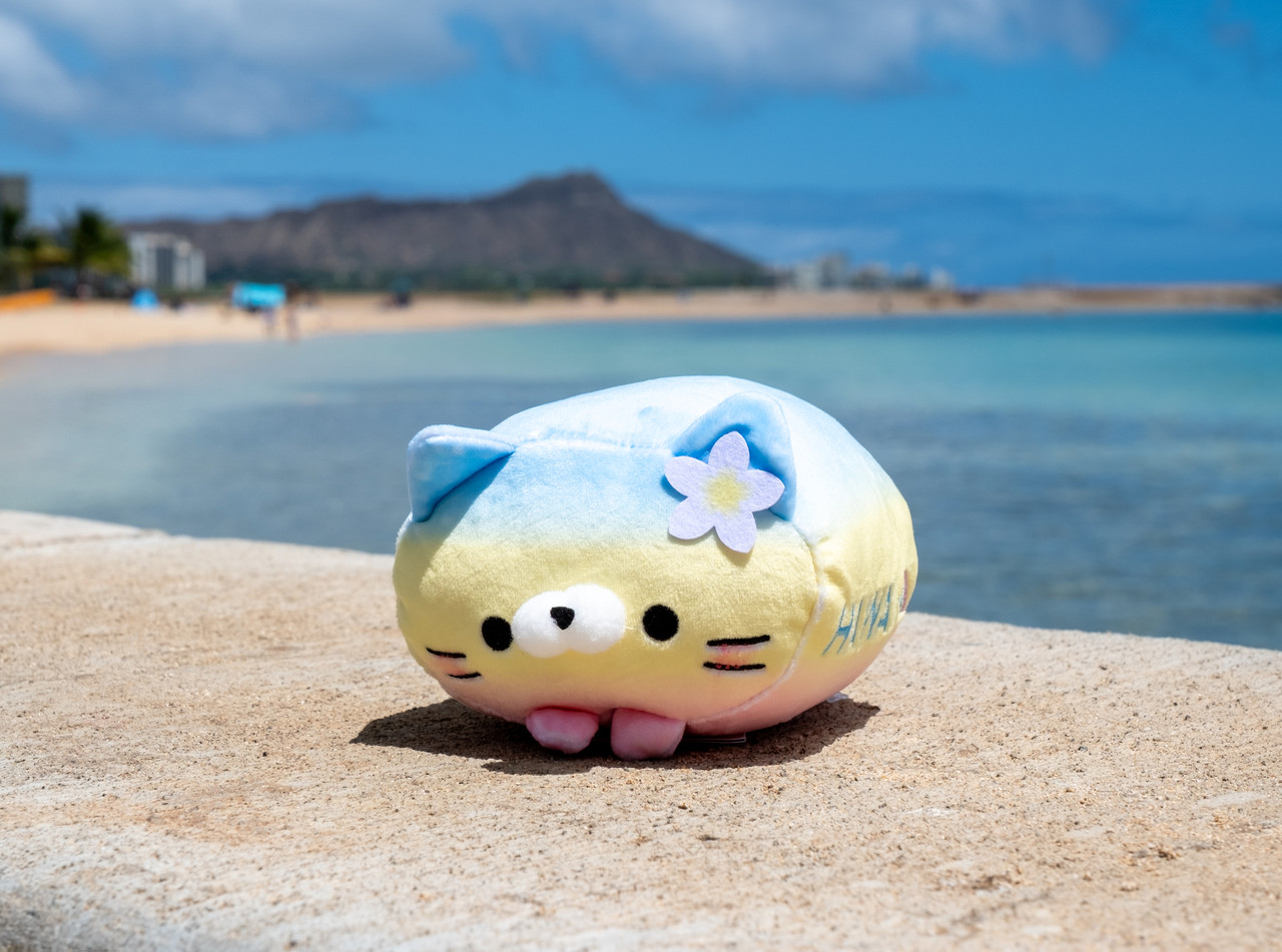 ごぶごぼ様MoniOne Mochi Fuwa Corocoro Plush: Hawaii Plumeria Cat