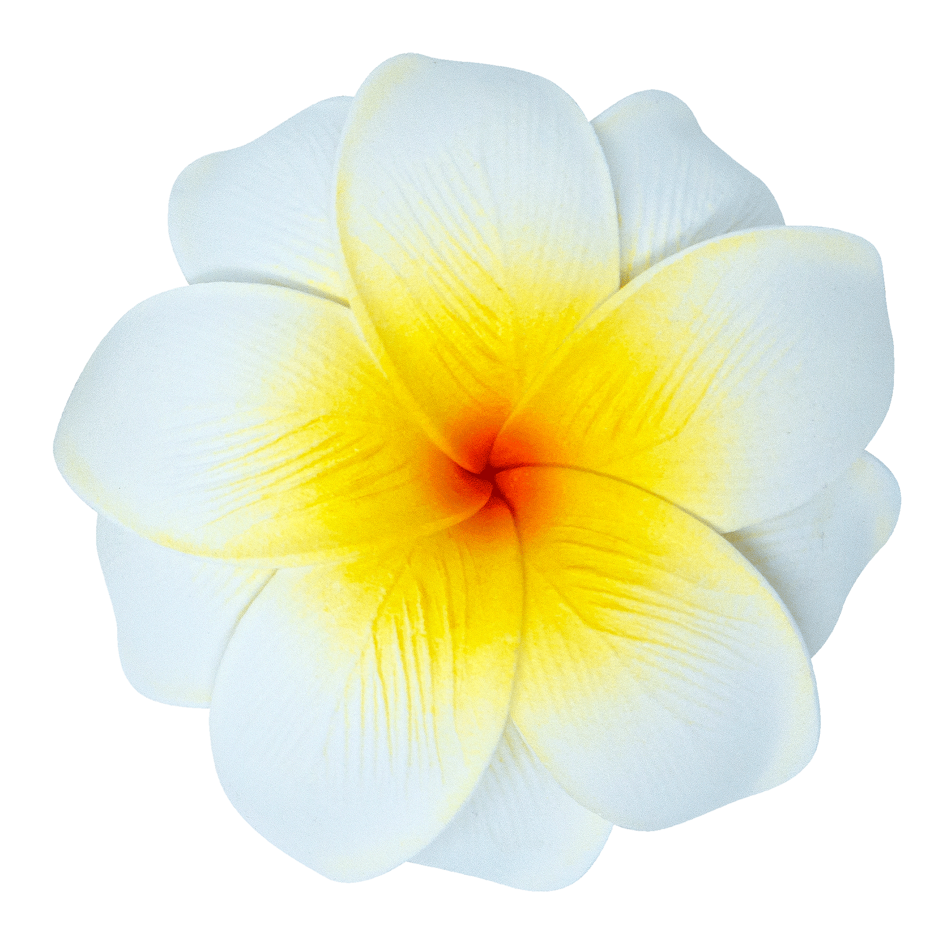 Flower Elastic Hair Ties by Olu Olu