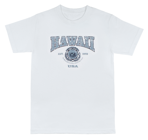 Vintage Dyed Tee - Collegiate: White