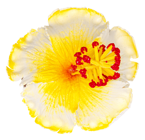 Hibiscus Hair Clip: White