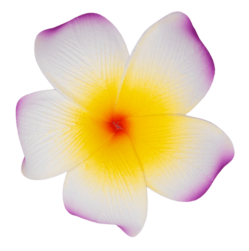 Single Plumeria Clip: Purple