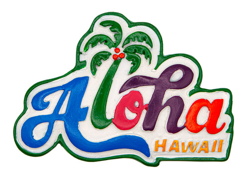 Island Memories Polyresin Magnets - Aloha Fun