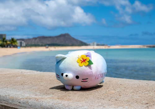 New Mochi Fuwa Corocoro Plush: Hawaii  Yellow Hibiscus Cat
front profile