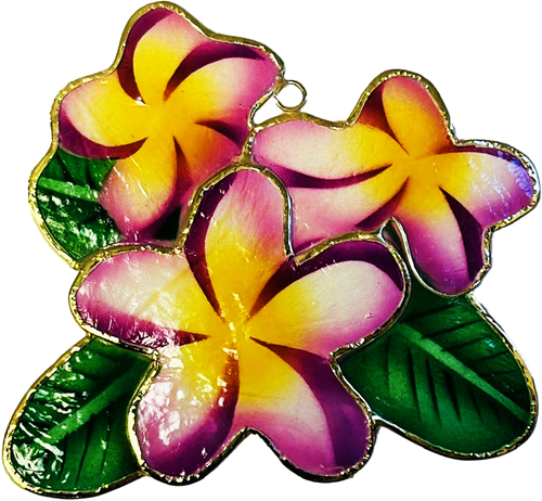 Hawaii Seashell Art Suncatcher - Triple Plumeria