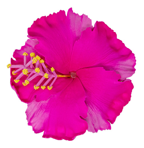 Hibiscus Hair Clip - Medium: Pink