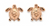 Rose Gold Earring Stud Solid Sea Turtle