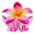 Solid Color Large Jaw Style Hair Clip: Pink