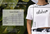 Island Design Collection  Crop Tee Size Chart