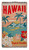 Sunny Hawaii Blanket Towel: Island Sun