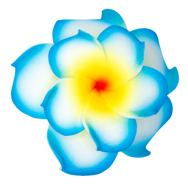 3D Wood Art Keyring - Plumeria