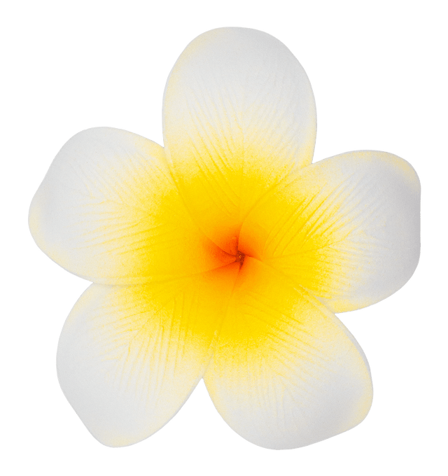 Single Plumeria Clip: White