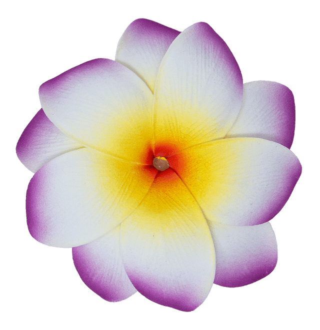 Plumeria.sn9さま専用出品 3D Wood Art Keyring - Plumeria