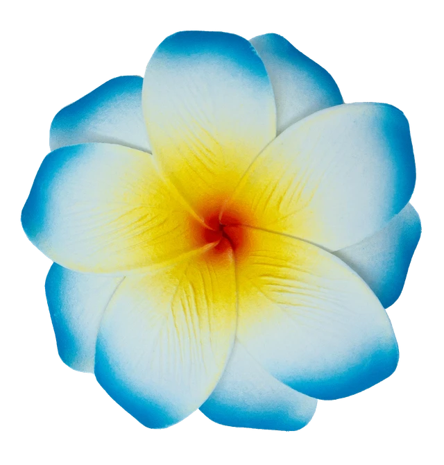 3D Wood Art Keyring - Plumeria
