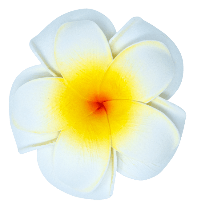 Large Double Plumeria Clip: White