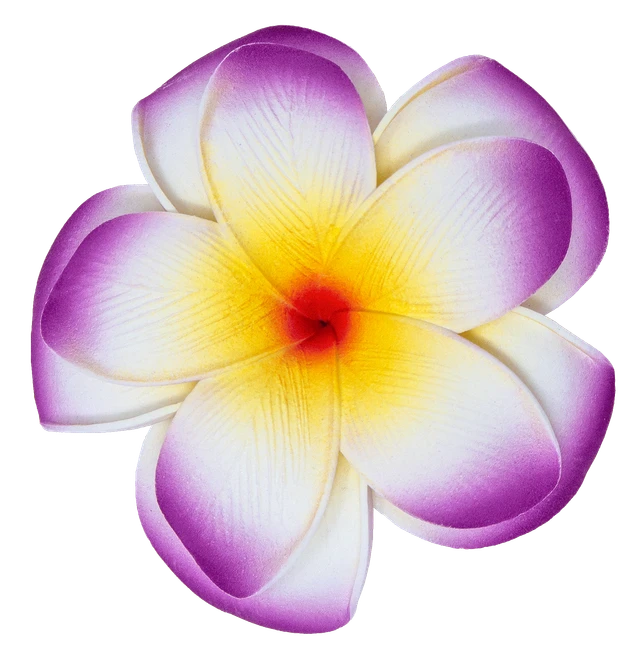 Large Double Plumeria Clip: Purple