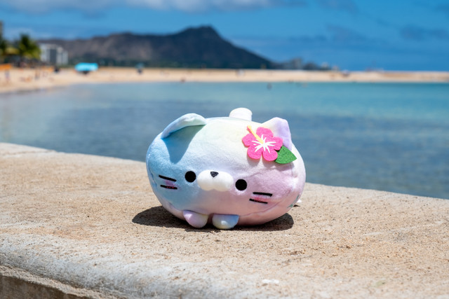 Mochi Fuwa Corocoro Plush: Aloha Pink Hibiscus Cat