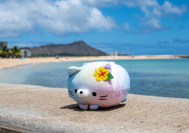 Mochi Fuwa Corocoro Plush: Hawaii Yellow Hibiscus Cat