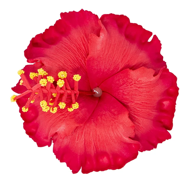 Hibiscus Hair Clip