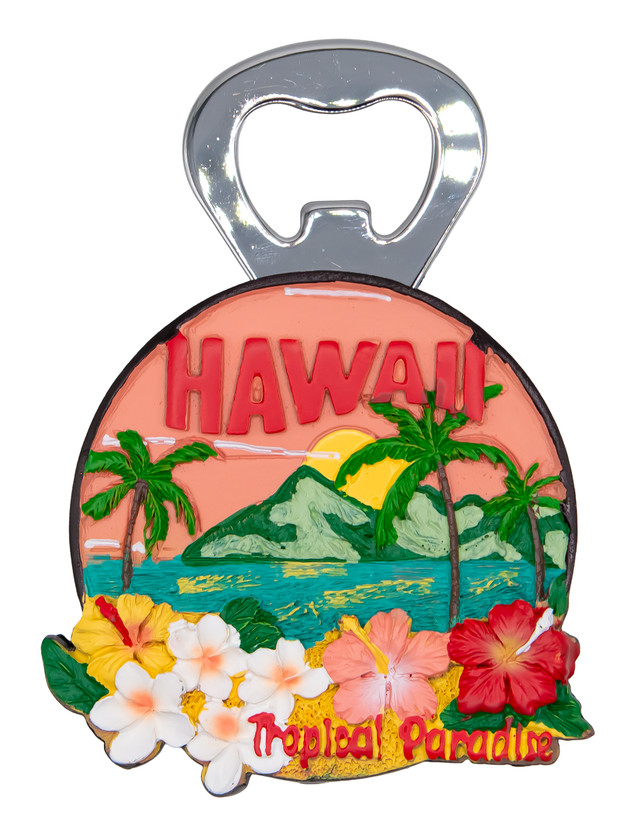 Island Memories Polyresin Bottle Opener Magnet - Hawaii License `