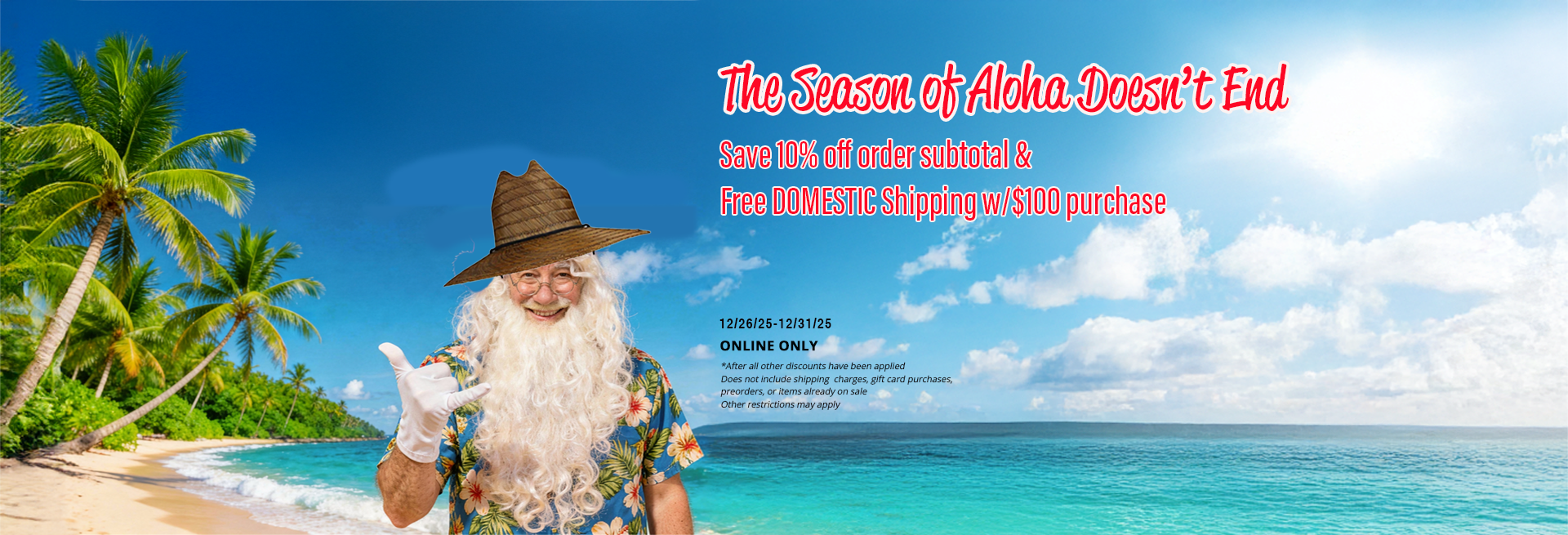 after Christmas Sale