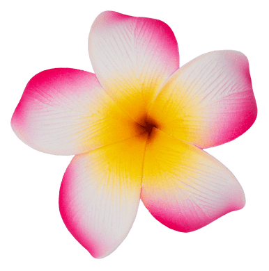 YELLOW PINK FLOWER STRAW TOPPER – Shop Dulce Lokura