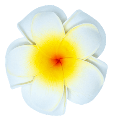 3 X Mittelgroße Plumeria-Krallenclips (C#) – Dekorative Haaraccessoires