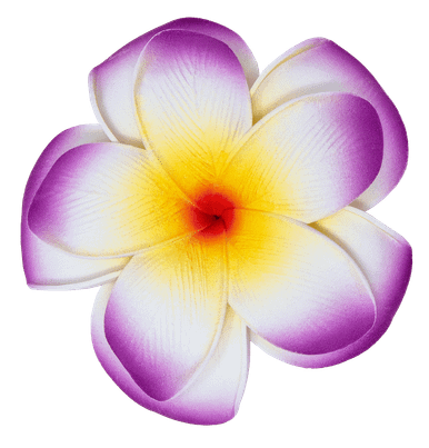 3 X Mittelgroße Plumeria-Krallenclips (C#) – Dekorative Haaraccessoires