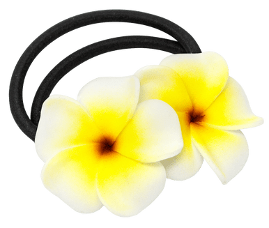 ooo112 　marihoja Abaca Lace Tulip Double Tulip Mix – 10 Bulbs of Lush, Peony-Like Spring