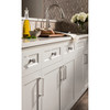 Top Knobs, Transcend, Ascendra, 5 1/16" (128mm) Straight Pull, Brushed Satin Nickel - Installed 1