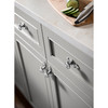 Top Knobs, Brittania, Canterbury 1 1/4" Round Knob with Backplate, Brushed Satin Nickel - installed