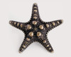 Emenee, Premier Collection, Sea Life, 2 1/4" Sea Star Knob