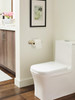 Amerock, St Vincent, Single Post Tissue Holder, Golden Champagne - installed 2