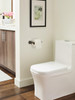 Amerock, St Vincent, Single Post Tissue Holder, Oil Rubbed Bronze - installed 2