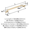 Amerock, Highland Ridge, 10 1/16" (256mm) Straight Pull, Golden Champagne - technical