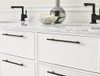Amerock, Urbanite, 8 13/16" (224mm) Bar Pull, Golden Champagne with Matte Black - installed 1