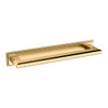 Baldwin, 10" Transitional Backplate, Satin Brass
