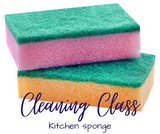 Cleaning Class: Kitchen sponges