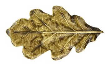 Notting Hill, Woodland, Oak Leaf, 2 1/4" Knob, Antique Brass