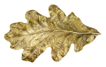 Notting Hill, Woodland, Oak Leaf, 3" Bin Pull, Antique Brass