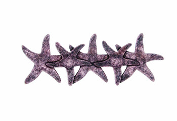 Buck Snort Lodge, Tropical and Coastal, 3" Starfish Pull, Copper Oxidized