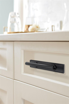 Amerock, Thoreau, 3" (76mm) Pull Backplate, Matte Black  - installed 1