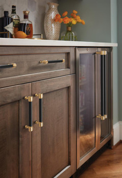 Amerock, Fairlane, 18" Straight Pull, Black Leather with Champagne Bronze - installed 1