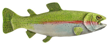 Notting Hill, Lodge and Nature, Rainbow Trout, 3" Pull, Hand-Tinted Antique Pewter, Left side, Faces right