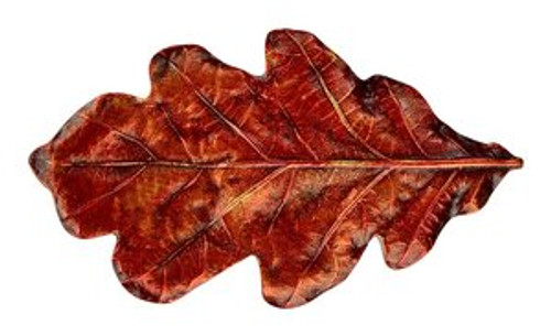 Notting Hill, Woodland, Oak Leaf, 2 1/4" Knob, Hand-Tinted Antique Brass