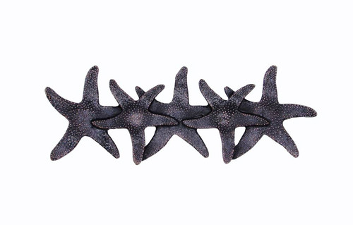 Buck Snort Lodge, Tropical and Coastal, 3" Starfish Pull, Oil Rubbed Bronze