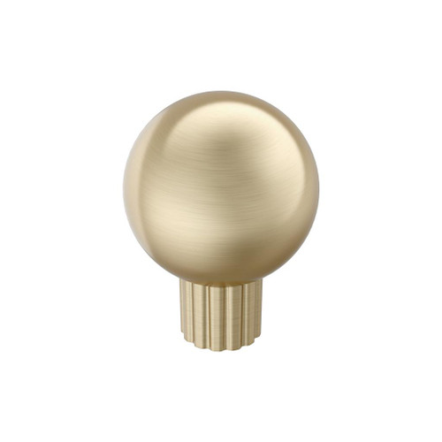 Amerock, Cowrie, 1 1/8" Round Knob, Golden Champagne