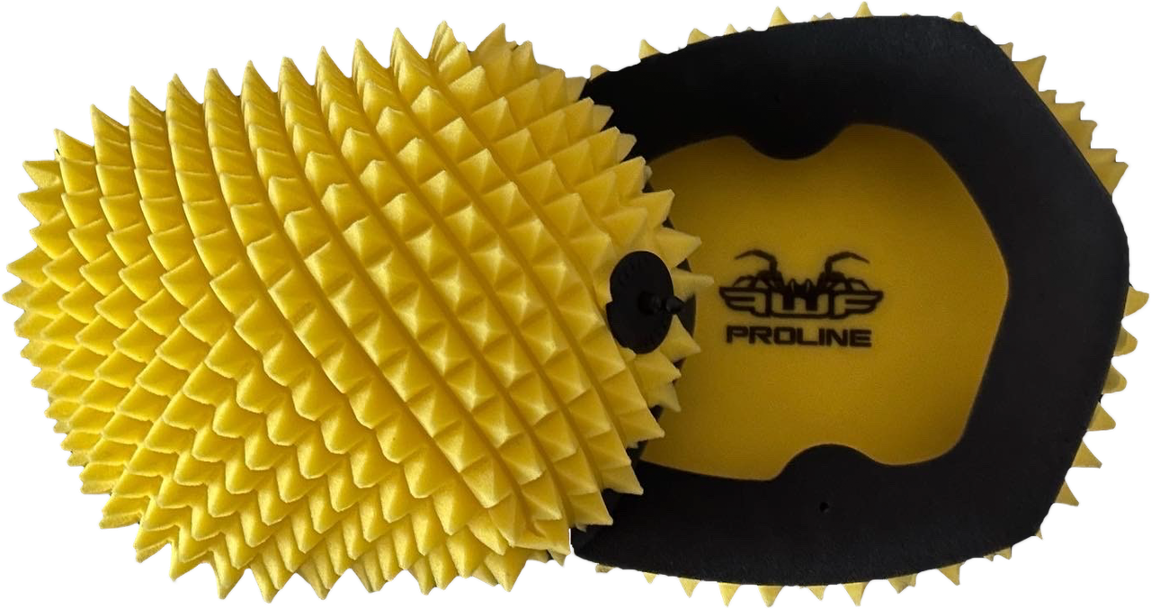 Air Filter Proline