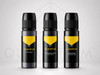 3 Shades of Gray Set - Gold Label