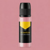 Basic 8 Color Set - Gold Label