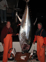 dave cape cod giant bluefin